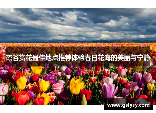 霞谷赏花最佳地点推荐体验春日花海的美丽与宁静