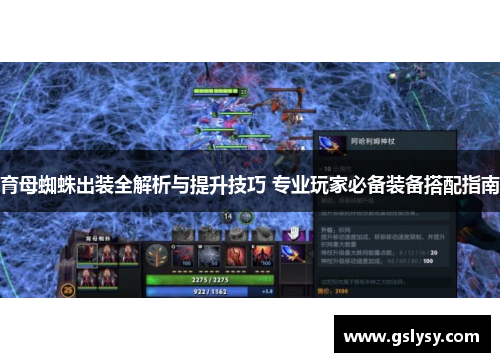 育母蜘蛛出装全解析与提升技巧 专业玩家必备装备搭配指南