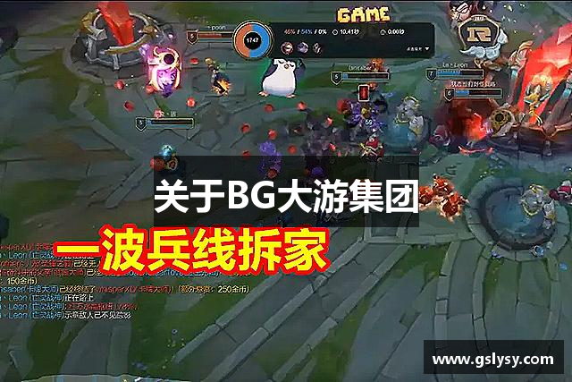 关于BG大游集团